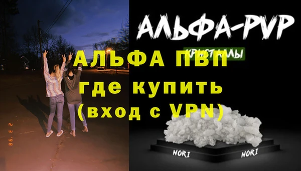 стаф Богданович