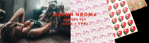 стаф Богданович