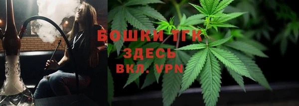 стаф Богданович