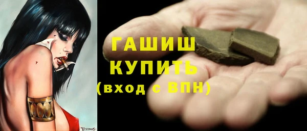 стаф Богданович