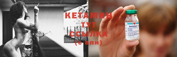 стаф Богданович