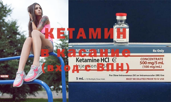 стаф Богданович