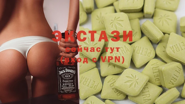 стаф Богданович