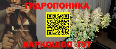 МДПВ Гагарин