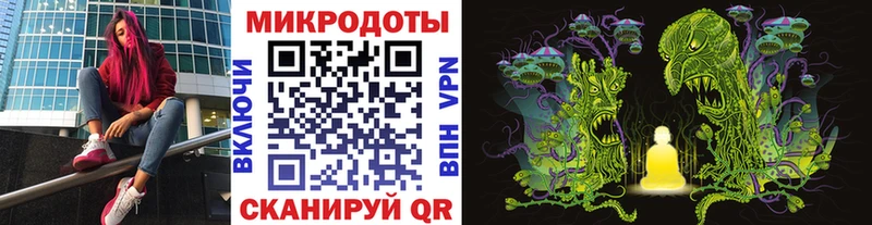 наркота  Малоярославец  Псилоцибиновые грибы мицелий 