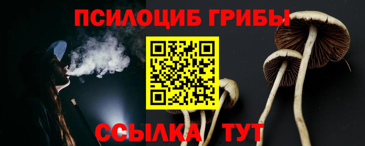 Псилоцибиновые грибы Magic Shrooms Малоярославец