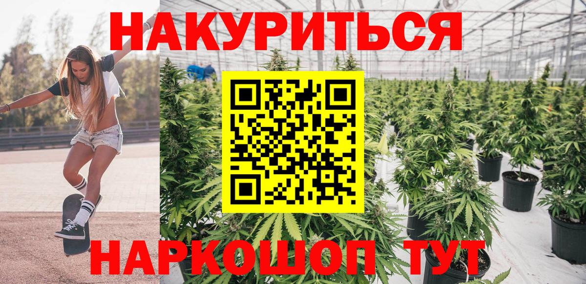 ГАШИШ Малоярославец